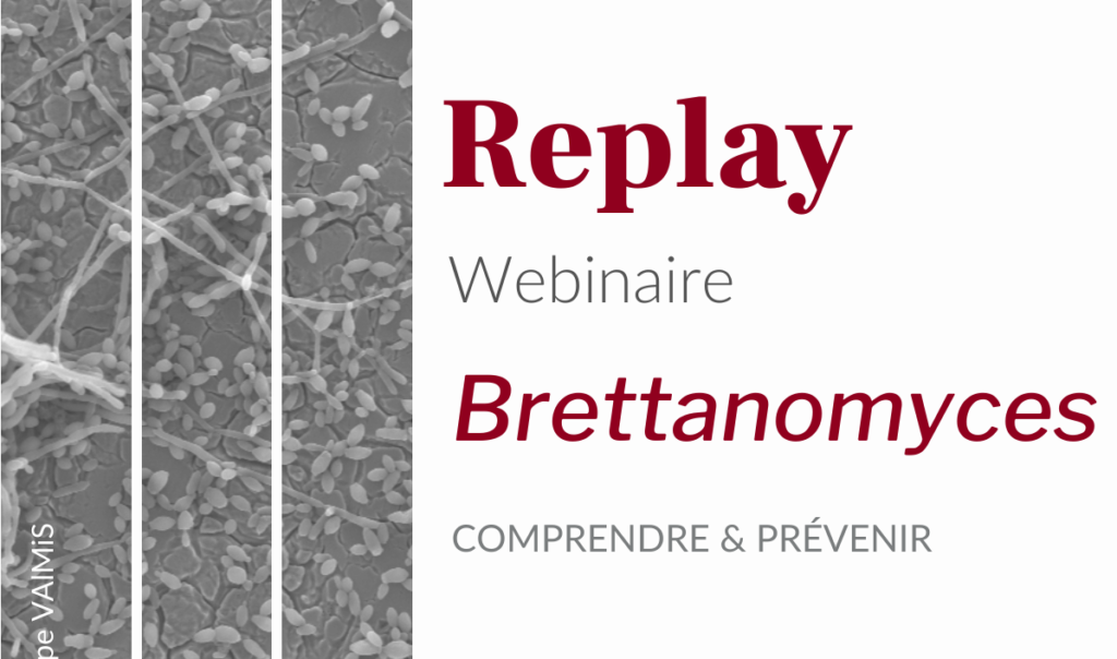 Visuel replay webinaire brettanomyces