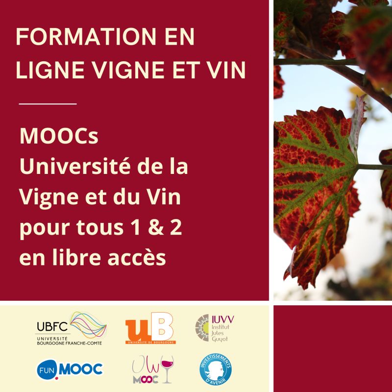 Formation Mooc OWU 1 et 2 en libre accès