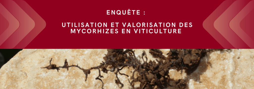 Enquête - Valorisation et utilisation des Mycorhizes en viticulture