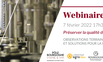 Webinaire – Impact du bouchage sur la qualité des vins