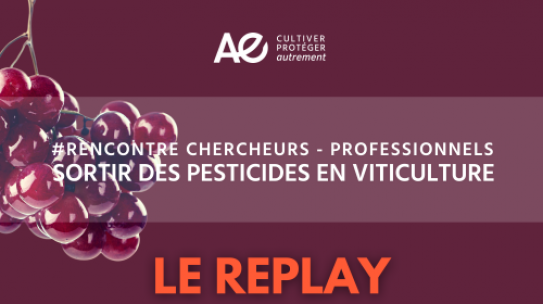 Sortir des pesticides en viticulture – Replay et présentations disponibles