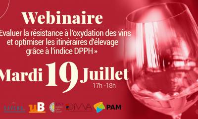 Webinaire Indice DPPH – 19 juillet