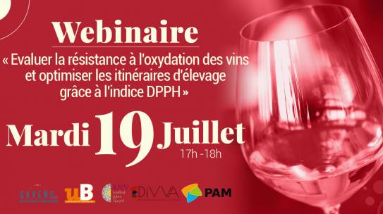 Webinaire Indice DPPH – 19 juillet