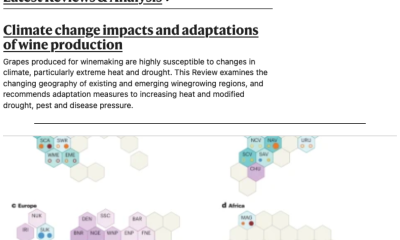 📝 Climate change impacts and adaptations of wine production